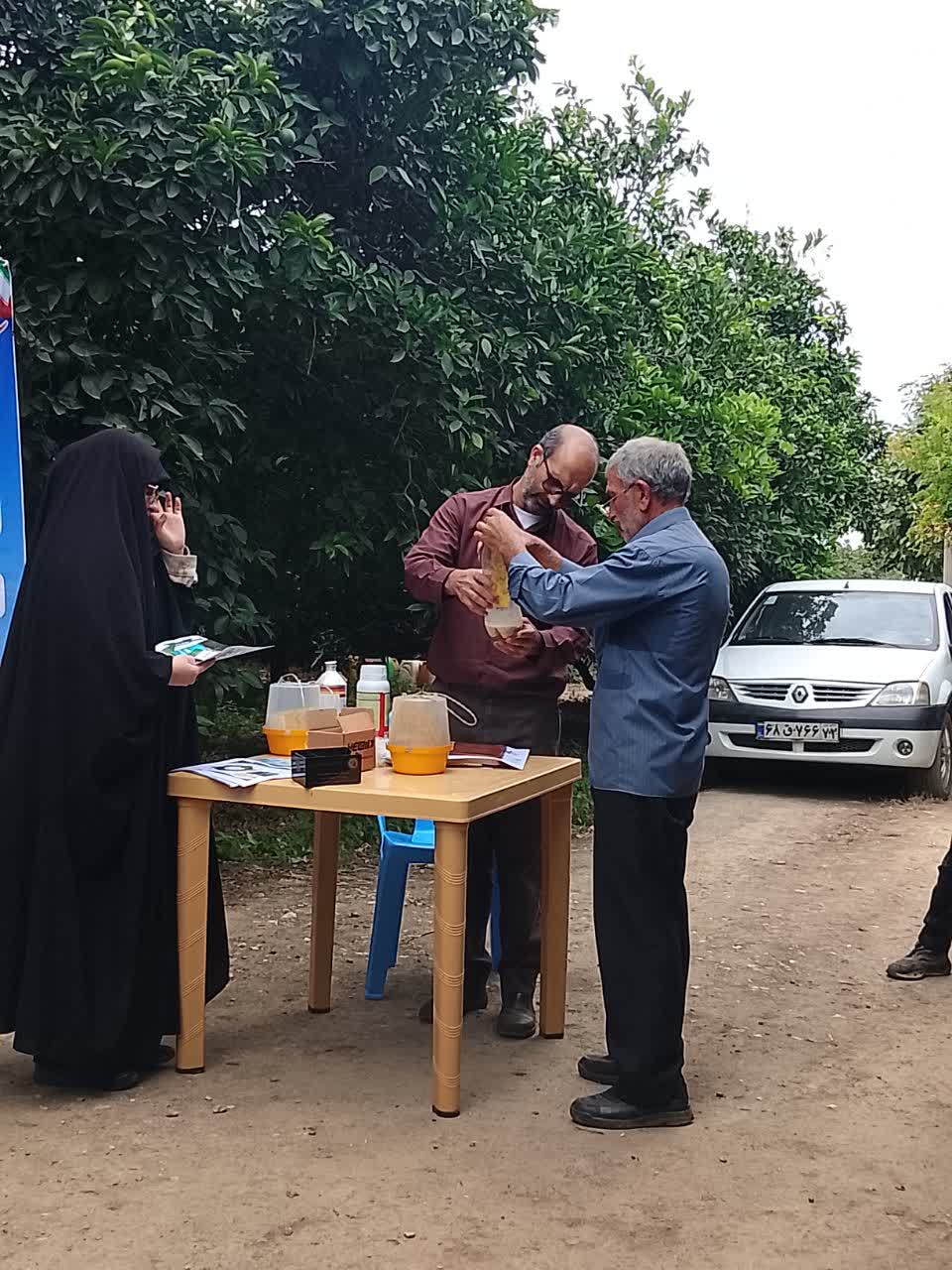 برگزاری دوره آموزشی مدیریت مگس مدیترانه‌ای