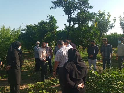 برگزاری اولین سمینار داخلی مرکز تحقیقات