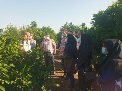 برگزاری اولین سمینار داخلی مرکز تحقیقات