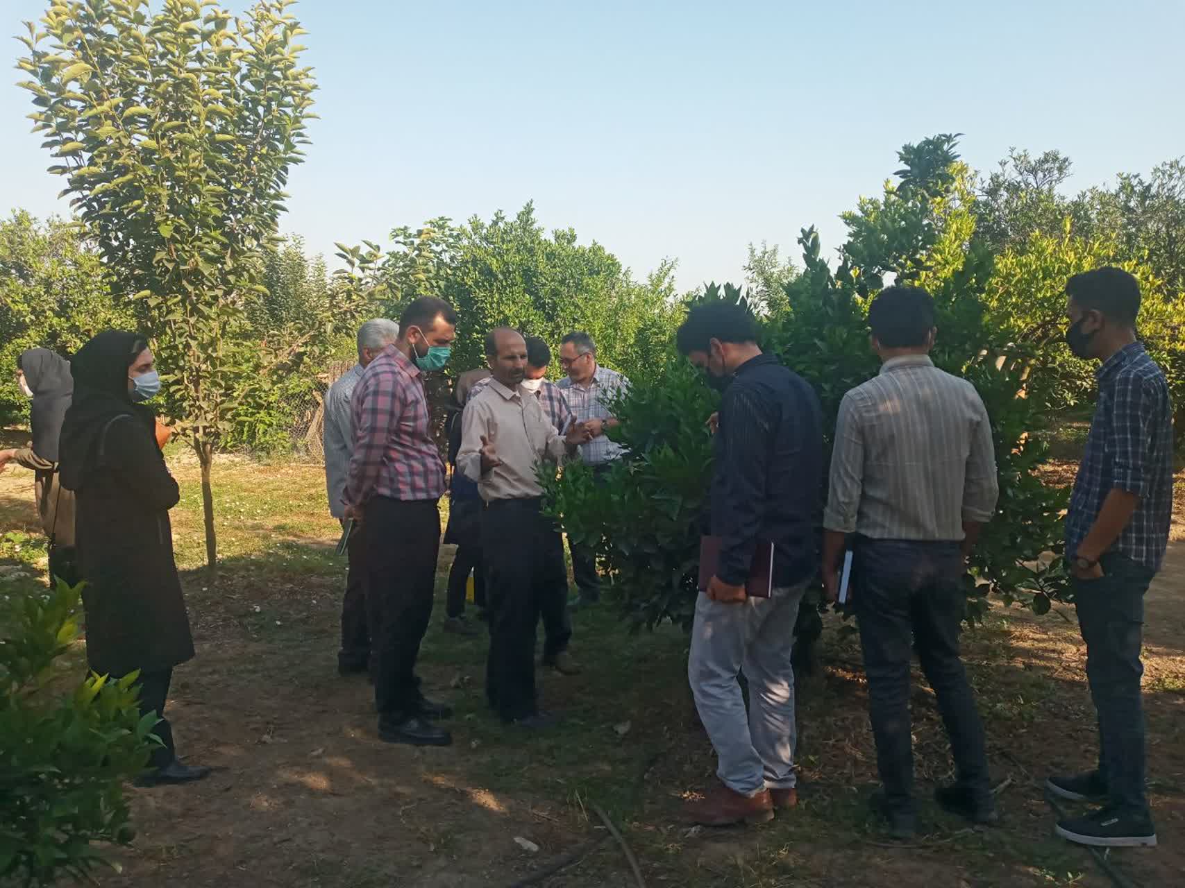 برگزاری اولین سمینار داخلی مرکز تحقیقات