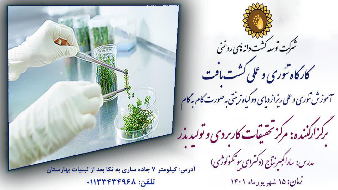 اطلاعیه برگزاری کارگاه کشت بافت 