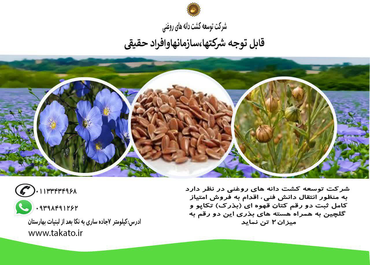 واگذاری امتیاز ثبت دو رقم کتان گلچین و تکاپو 