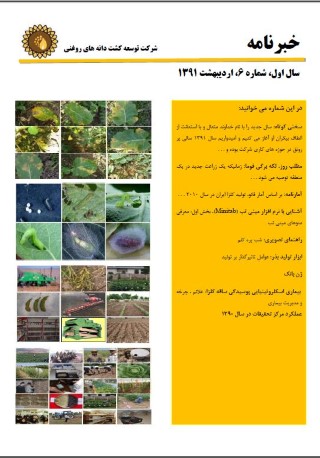 ماهنامه شماره 6