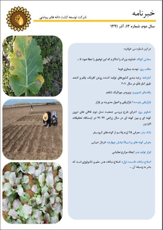 ماهنامه شماره 13