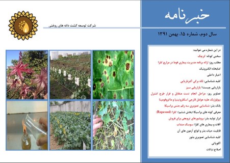 ماهنامه شماره 15