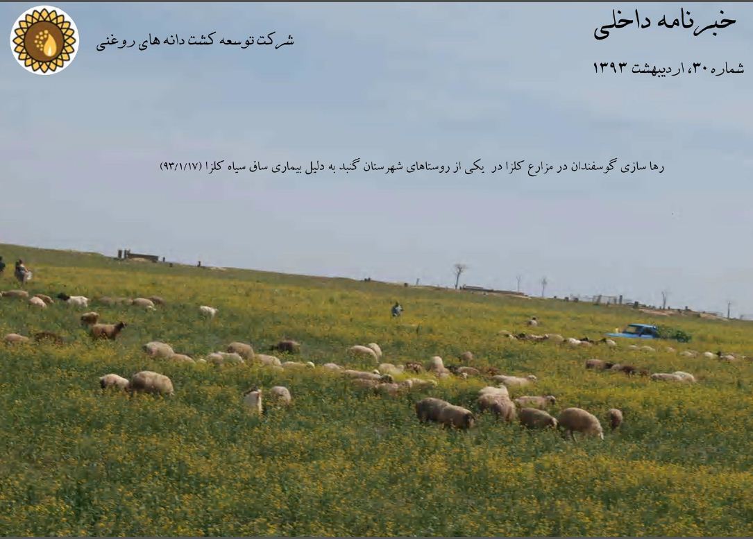 ماهنامه شماره 30