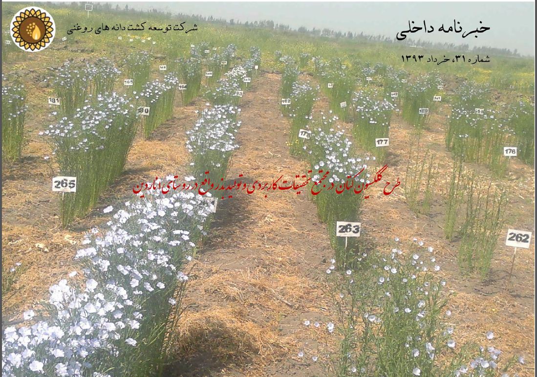 ماهنامه شماره 31