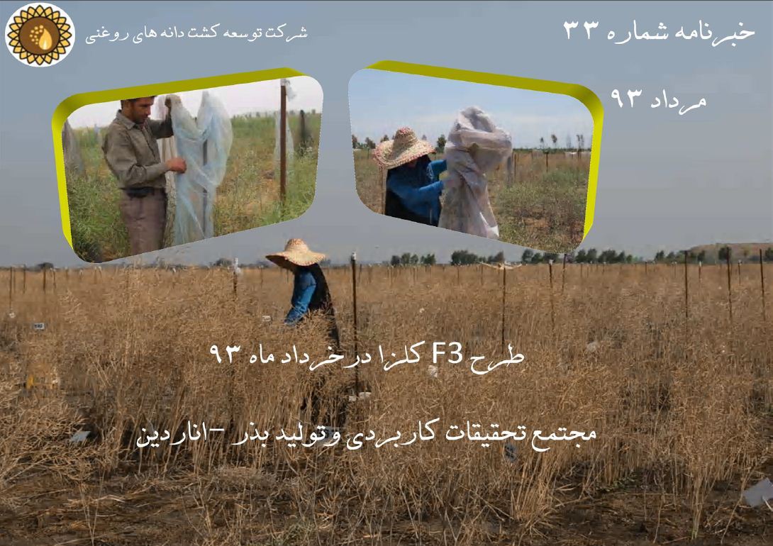 ماهنامه شماره 33
