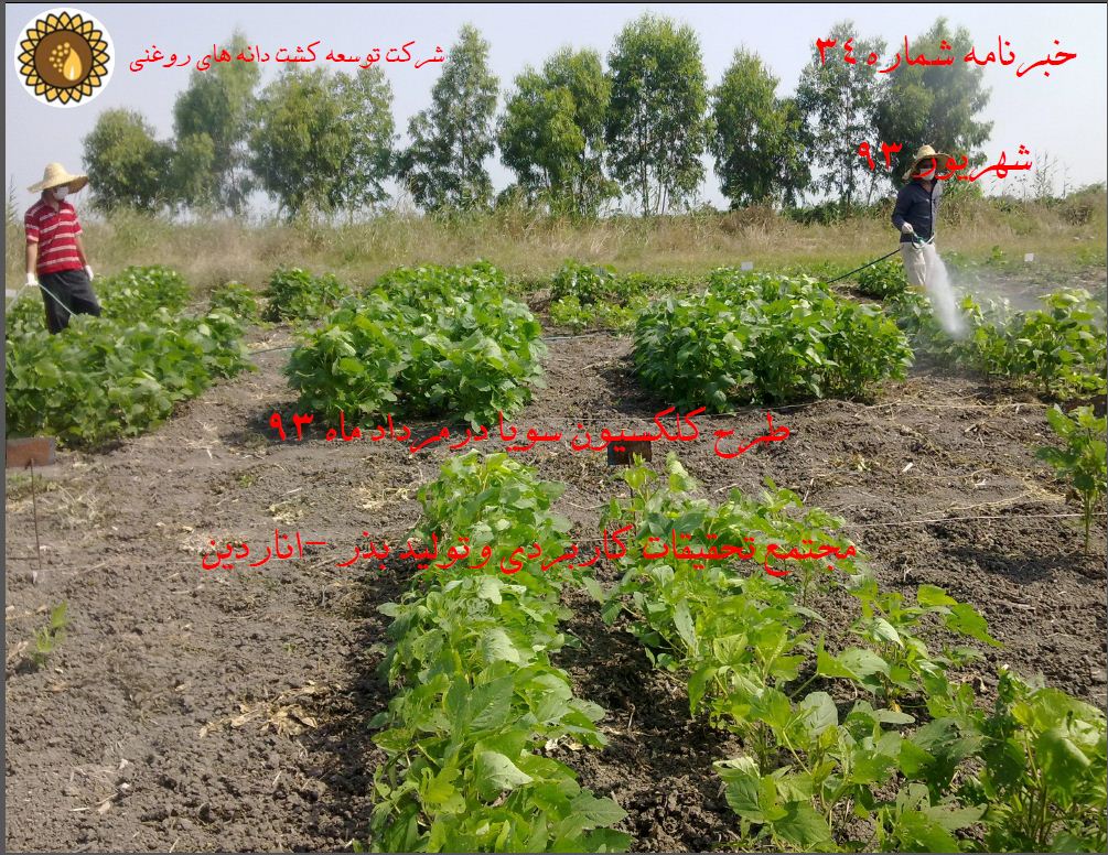 ماهنامه شماره 34