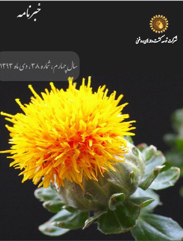 ماهنامه شماره 38