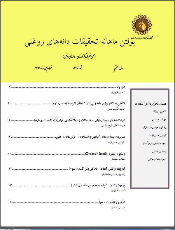 ماهنامه شماره 89