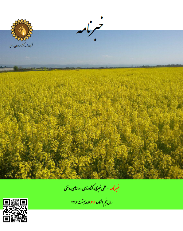 ماهنامه شماره 66