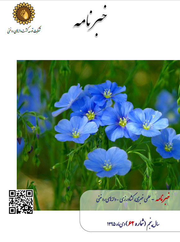 ماهنامه شماره 62 