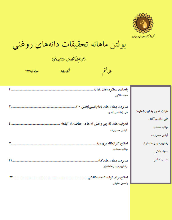 ماهنامه شماره 81