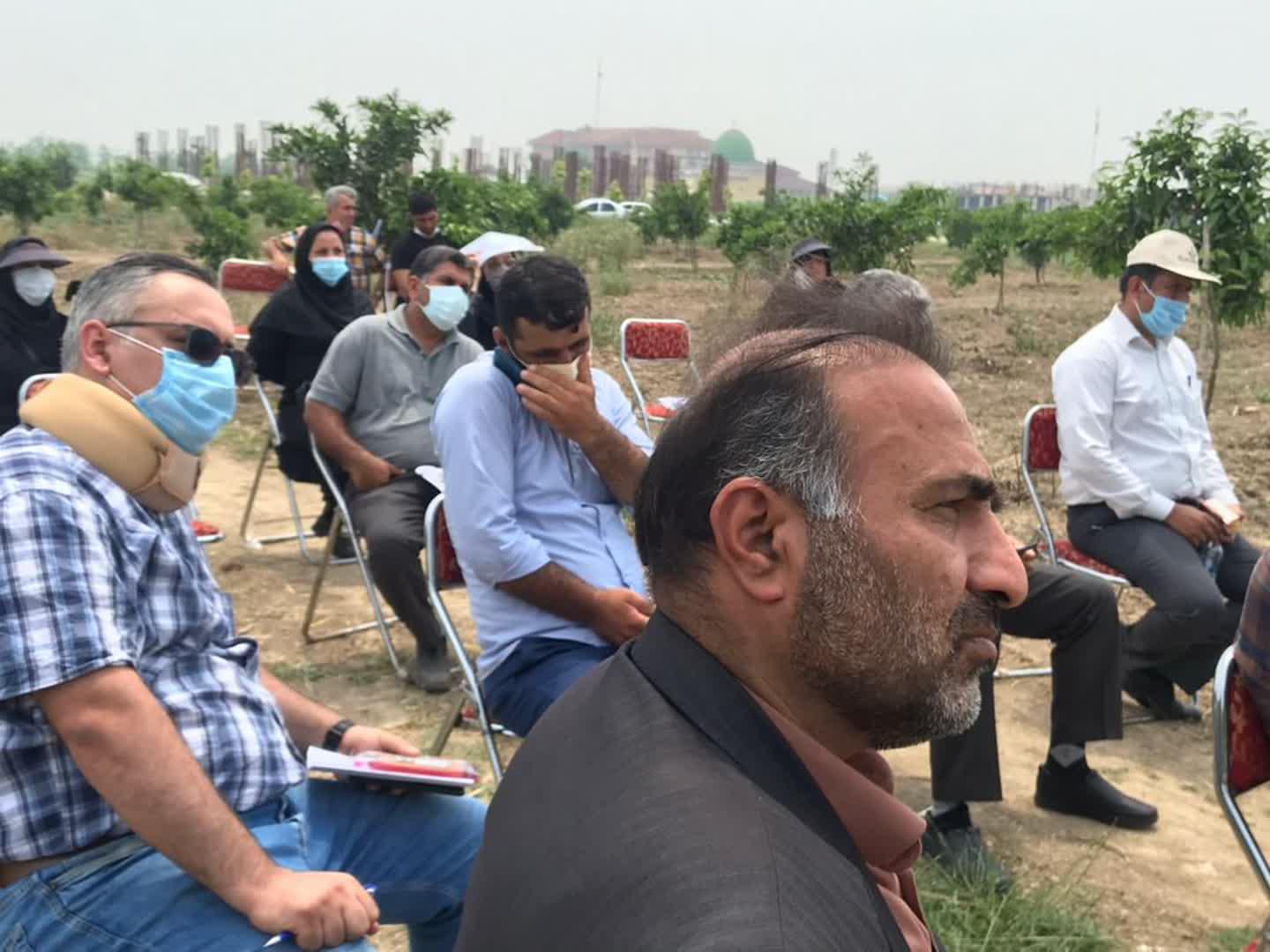 روز مزرعه زراعت کلزا