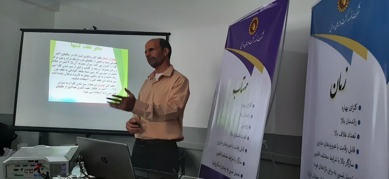 برگزاری دوره   آموزشی  آفات و بیماریهای کلزا / تغذیه کلزا  در مازندران، بهشهر