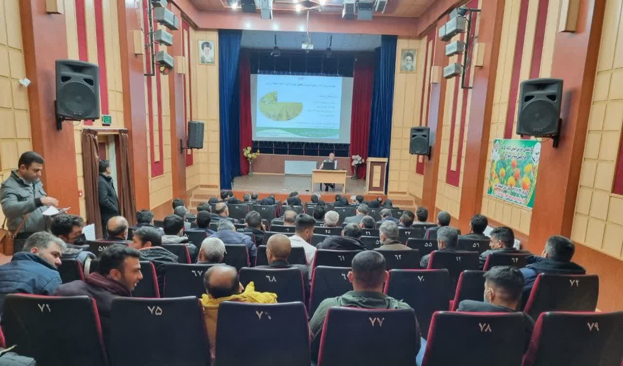  گردهمایی آموزشی ترویجی آشنایی با گیاه گلرنگ