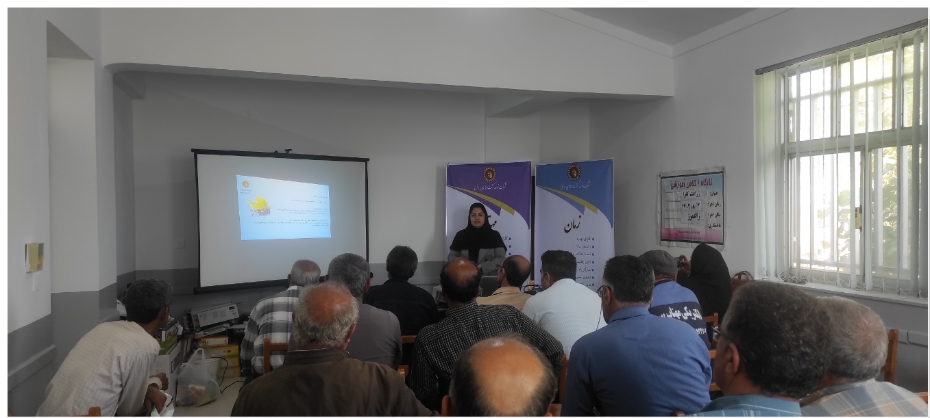 برگزاری دوره   آموزشی  آفات و بیماریهای کلزا / تغذیه کلزا  در مازندران، بهشهر