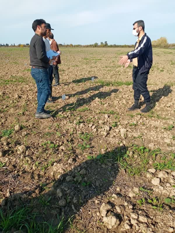 بازدید از طرحهای دشت ناز