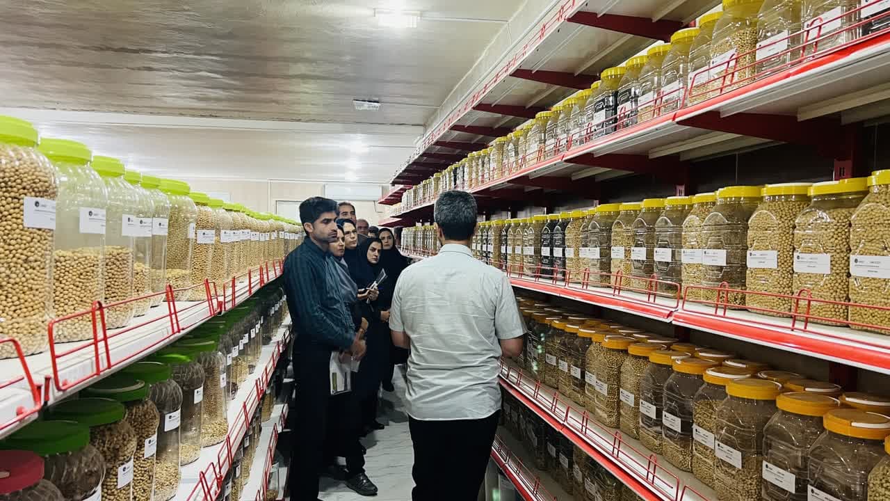 برگزاری دوره آموزشی معرفی ارقام مهتاب و زمان  ویژه کارشناسان جهاد کشاورزی استان مازندران