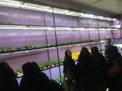 بازدید معلمان دبیرستان حافظ از تکاتو