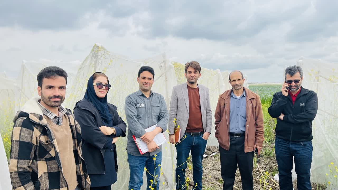 بازدید طرحهای تحقیقاتی کتان و کلزا 
