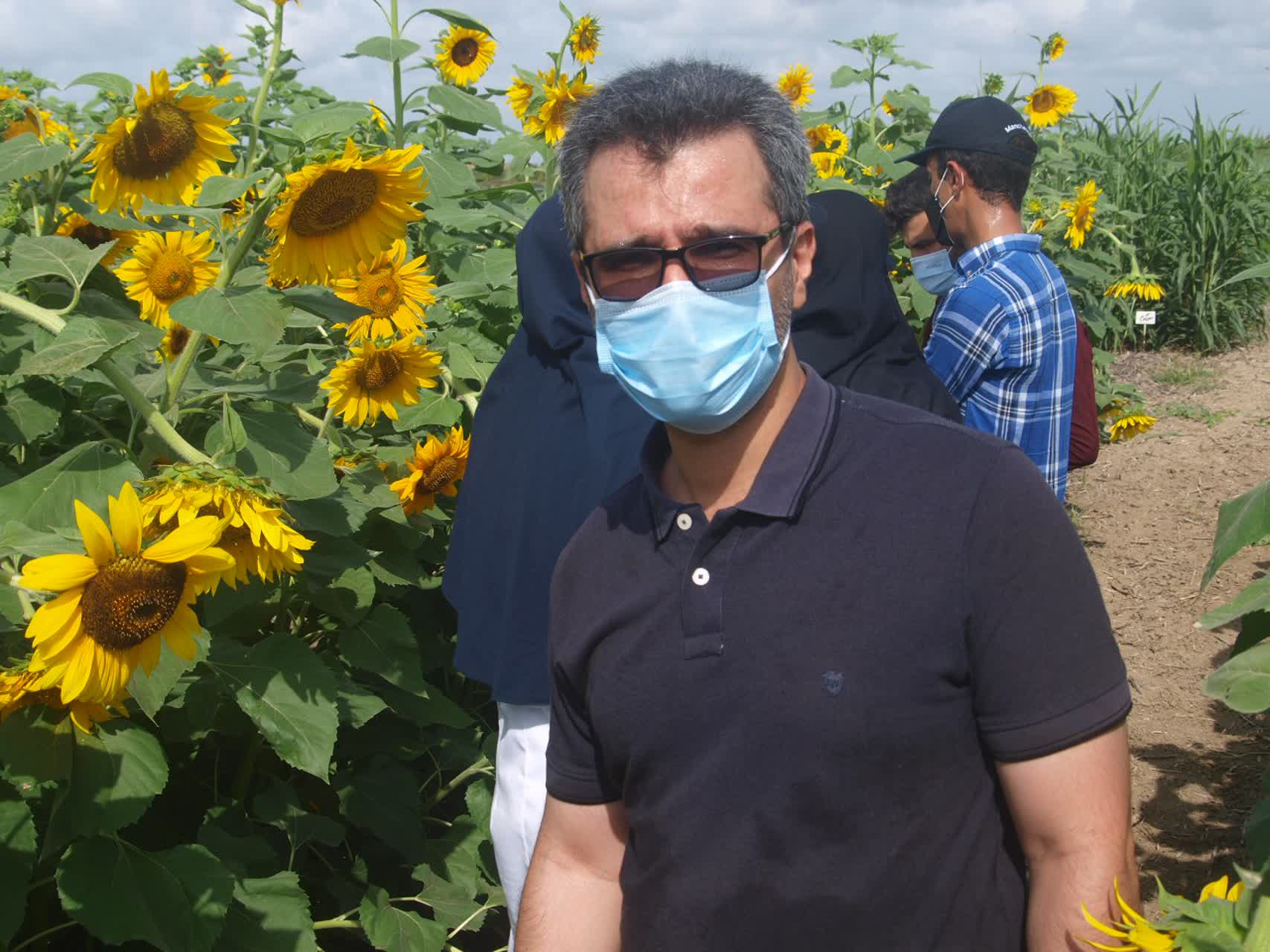 بازدید آموزشی کارشناسان جدید شرکت از طرحهای دشت ناز 