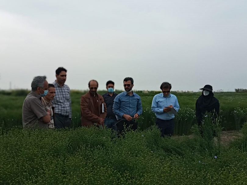 بازدید کارشناسان موسسه تحقیقات ثبت و گواهی بذر و نهال کشور