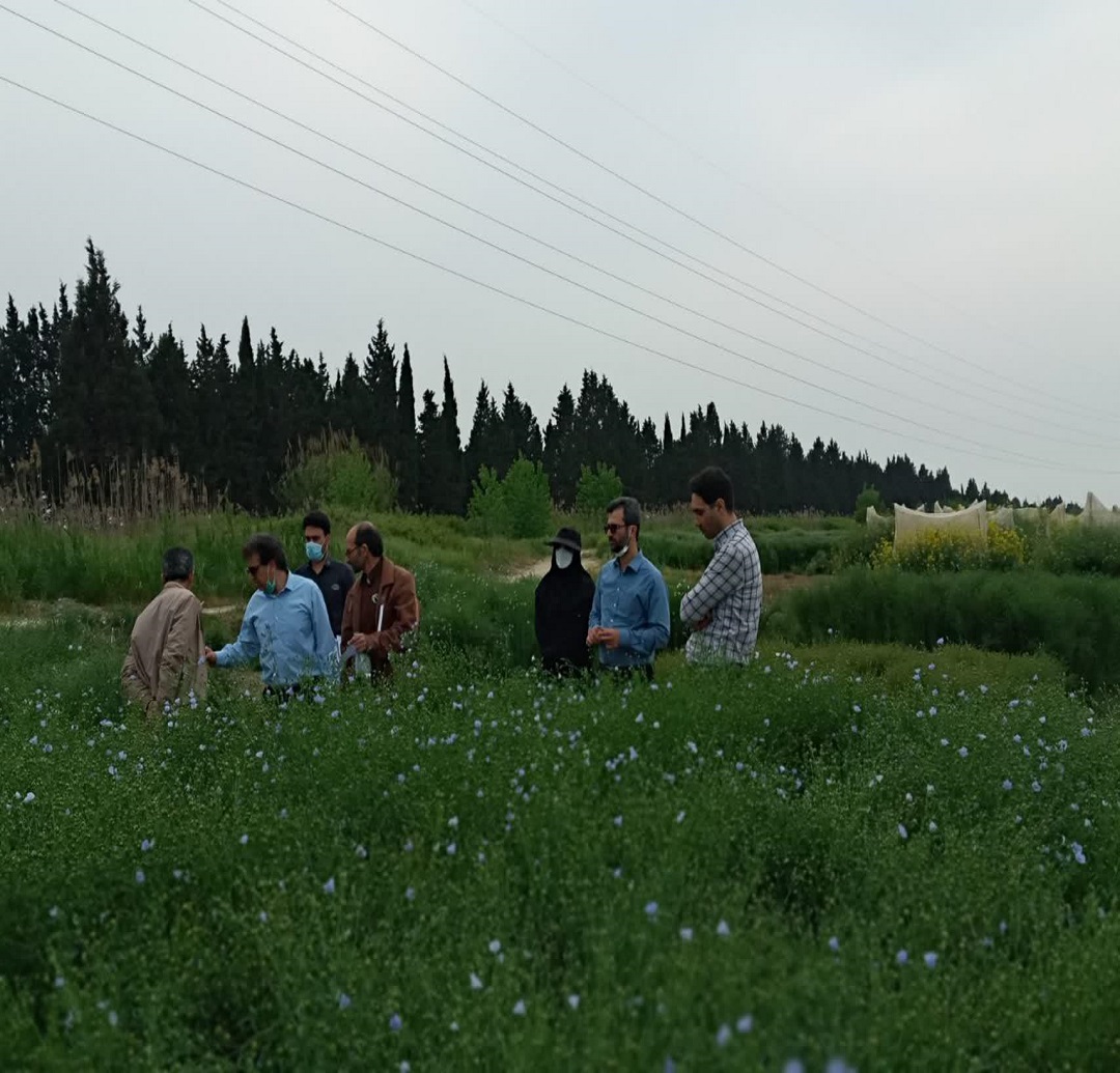 بازدید کارشناسان موسسه تحقیقات ثبت و گواهی بذر و نهال کشور