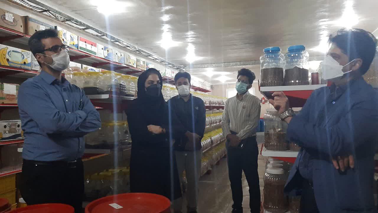 بازدید مدیر عامل محترم شرکت توسعه کشت دانه های روغنی از مرکز تحقیقات 