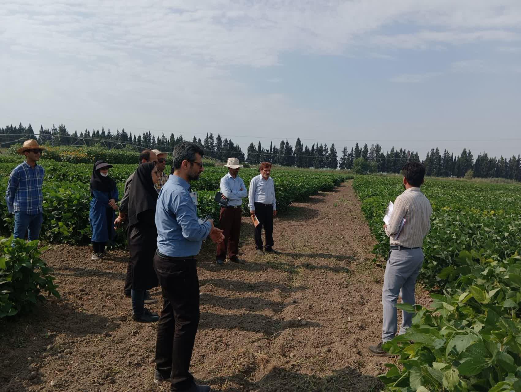 بازدیداعضای هیئت علمی دانشگاه علوم کشاورزی و منابع طبیعی ساری و مرکز تحقیقات 