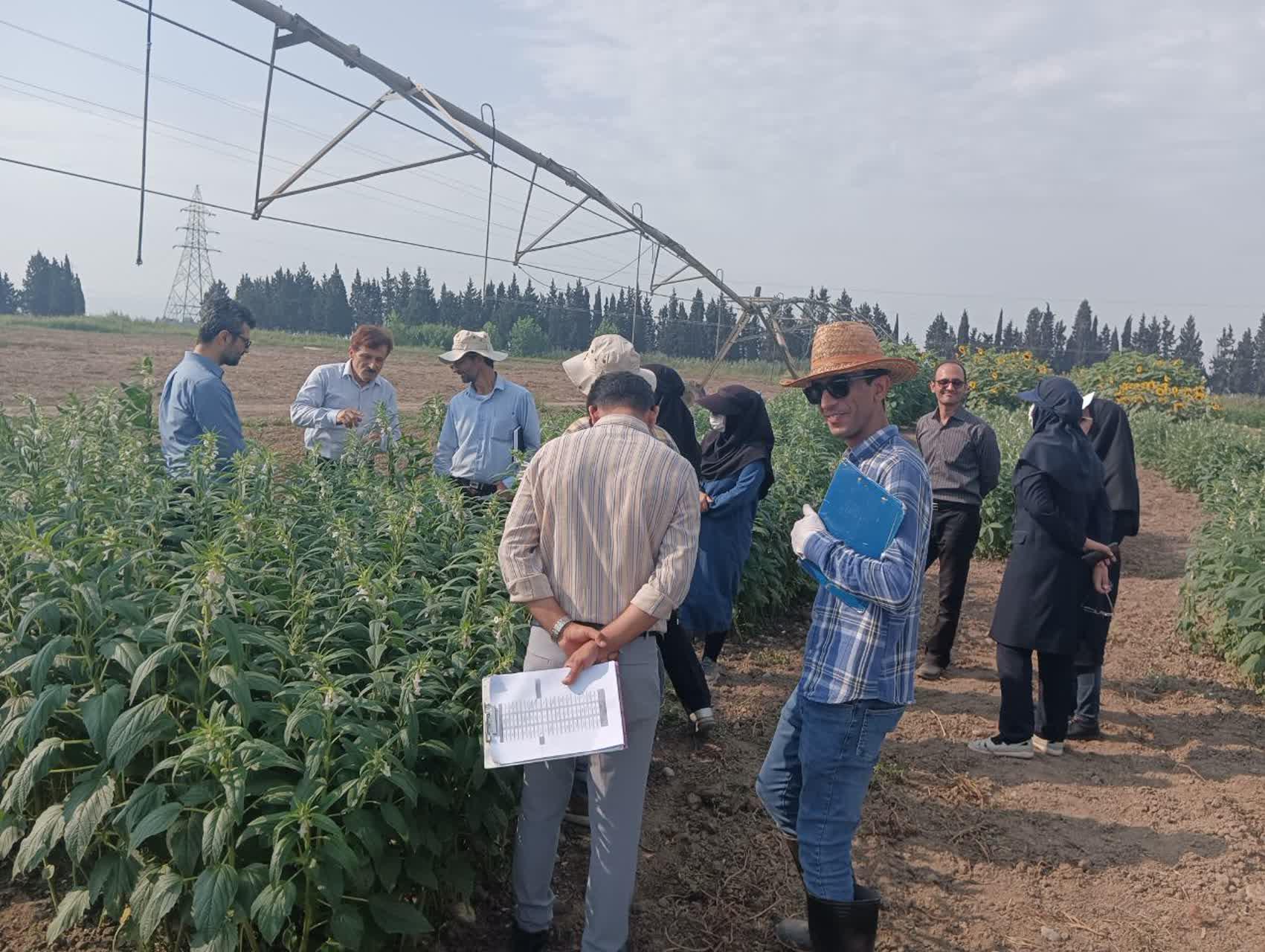 بازدیداعضای هیئت علمی دانشگاه علوم کشاورزی و منابع طبیعی ساری و مرکز تحقیقات 