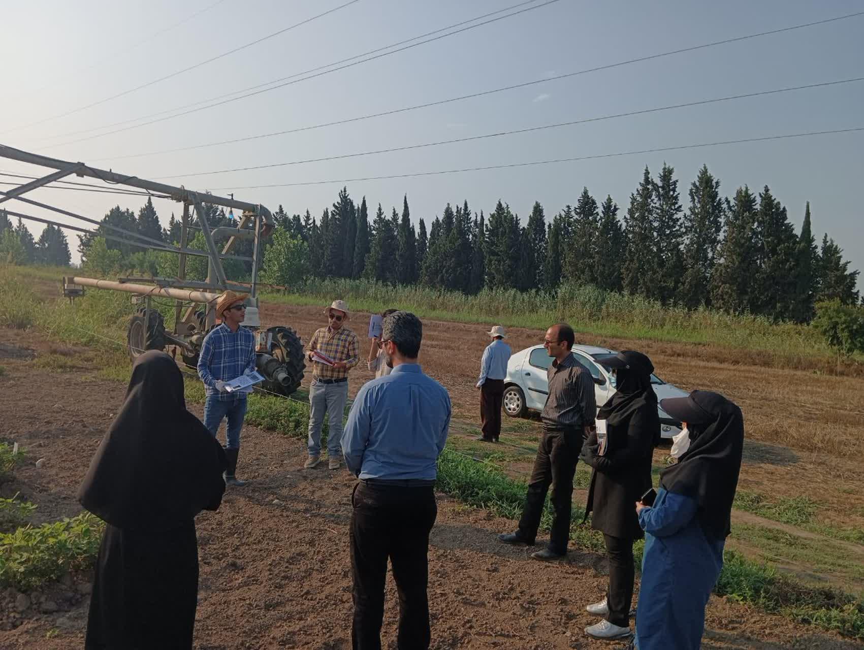 بازدیداعضای هیئت علمی دانشگاه علوم کشاورزی و منابع طبیعی ساری و مرکز تحقیقات 